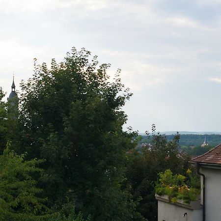 Neumann Apartment Marbach am Neckar Exterior foto